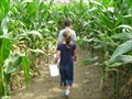 Image for Sam Mazza's Corn Maze - Colchester, Vermont