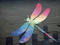 Image for Dragonfly - Madisonville, TX