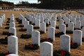 Image for Ft. Jackson National Cemetery