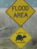 Image for Turtle Crossing - CBEC, Grasonville, Md.