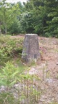Image for North Common Trig pillar - Chailey, East Sussex