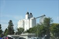 Image for Mayport Farmer's Coop Grain Elevator -- Mayville ND