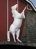 Image for Rick's White Horse - Molalla, OR