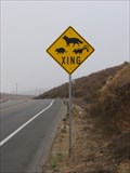 Image for Critter Crossing, Watkins Avenue, Riverside, CA