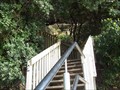 Image for Possum Ladder - Campbells Bay,  Auckland New Zealand