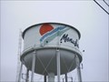 Image for Manitowoc Street Water Tower - Menasha, WI
