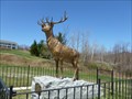 Image for The Elk On The Trail - World War I Memorial - Florida, MA