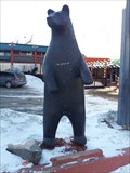 Image for Black Bear, Parry Sound, Ontario