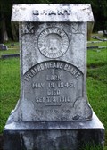 Image for Everard Meade Grant - Terry Cemetery - Terry,MS
