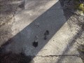 Image for Footprints to, From Who? Fayetteville, NC
