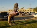 Image for Path to Recovery - Horse in the City - Shawnee, OK