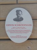 Image for PHYSICS: Erwin Schrödinger 1933 - Stuttgart, Germany, BW