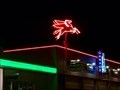 Image for Red Pegasus Neon - Haltom City, TX