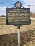 Image for Skirmish at Haguewood Prairie