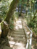 Image for Lake Creek Falls Stairway - Oregon