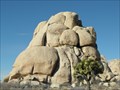 Image for Hidden Valley Campground - Joshua Tree National Park CA