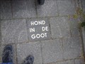 Image for Dog in the gutter - Lopik, the Netherlands