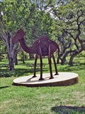 Image for Camel - Camp Verde, TX