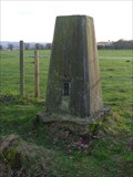 Image for Pillar, Hartlebury Common, Worcestershire, England
