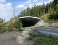 Image for Wildlife bridge - Hlinsko, Czech Republic