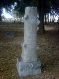 Image for Jesse O. Lee - Pond Springs Cemetery - Austin, TX