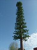Image for Pine Tree Cell Tower