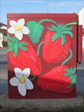 Image for Strawberries on Vine - Watsonville, CA