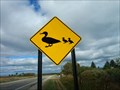 Image for Duck Crossing Houghton Lake Mi.