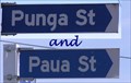 Image for Punga and Paua Street Signs.  Tangimoana. Nth Is.   New Zealand.