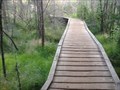 Image for Von Hoevenberg Trail boardwalk - Adirondack State Park, NY