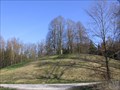 Image for Hohmichele Celtic Burial Mound