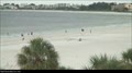 Image for Siesta Key Beach Webcam - Sarasota, FL