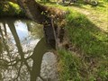 Image for L'arbre mangeur de buse - Les Magnils Reigniers, Pays de la Loire, France