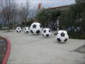 Image for Soccer Balls - Pleasanton, CA