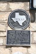 Image for Dripping Springs Academy