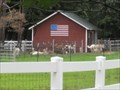 Image for West Michigan Alpacas - Holland, MI, US