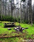 Image for Gaudineer Picnic Area & Overlook - Monongahela National Forest - Durbin, West Virginia