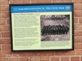 Image for Hagerstonians in the Civil War - Hagerstown, MD