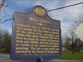 Image for Mill Grove