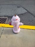 Image for Pink and Paper Airplanes Hydrant - Emmaus, PA, USA