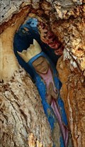Image for Our Lady of the Tree - Albuquerque, NM