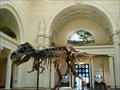 Image for Field Museum - Chicago, IL