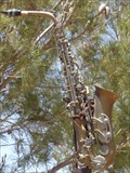 Image for Saxophone - Bottle Tree Ranch - Route 66, California, USA.