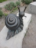 Image for Snail  -  Toronto, Ontario