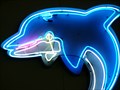 Image for Dolphin - Artistic Neon - Kissimmee, Florida, USA.