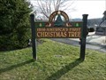 Image for FIRST - Christmas Tree in America - Easton, PA