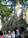 Image for Ta Prohm - Siem Reap, Cambodia