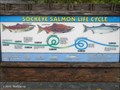Image for Lifecycle of  Salmon Species, Williwaw Creek Stop - Near Portage, AK, USA