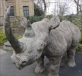 Image for Black Rhinoceros - Newcastle Upon Tyne, UK