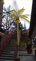 Image for Electric Palm Trees at La Milsa in Montreal, Quebec, Canada